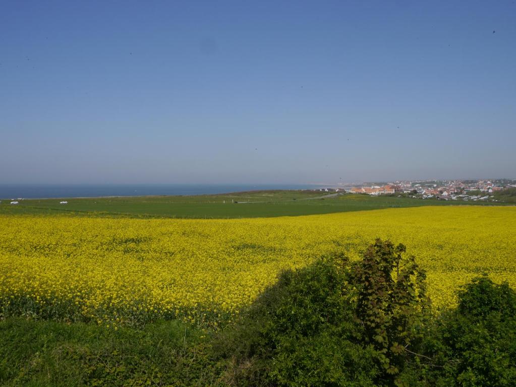 un champ de fleurs jaunes avec une ville en arrière-plan dans l'établissement La Baie Saint Jean Face Mer, à Wimereux