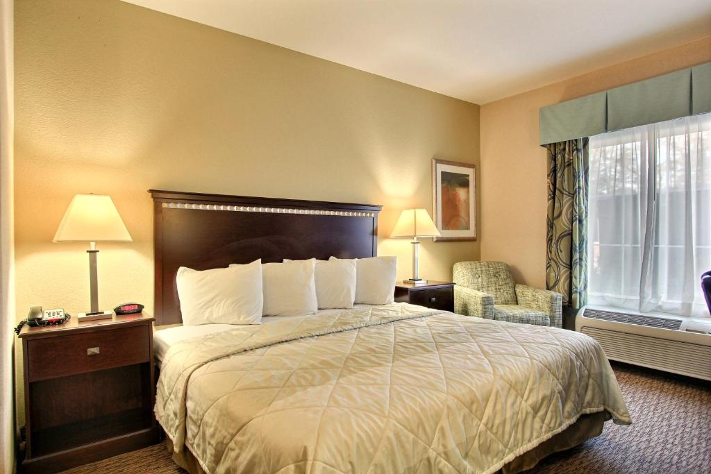 Magnolia Inn and Suites Pooler - Room King - Non-fumeur