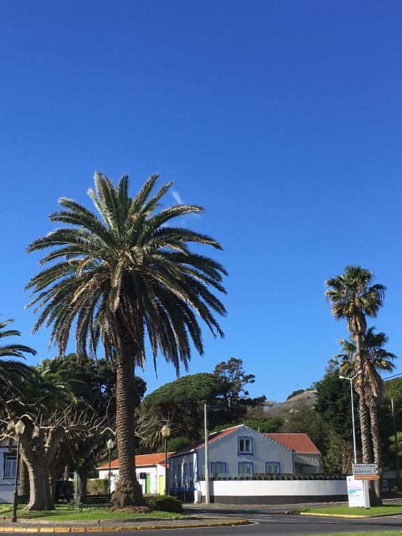 a group of palm trees in front of a house at Silveira by the Sea in Angra do Heroísmo