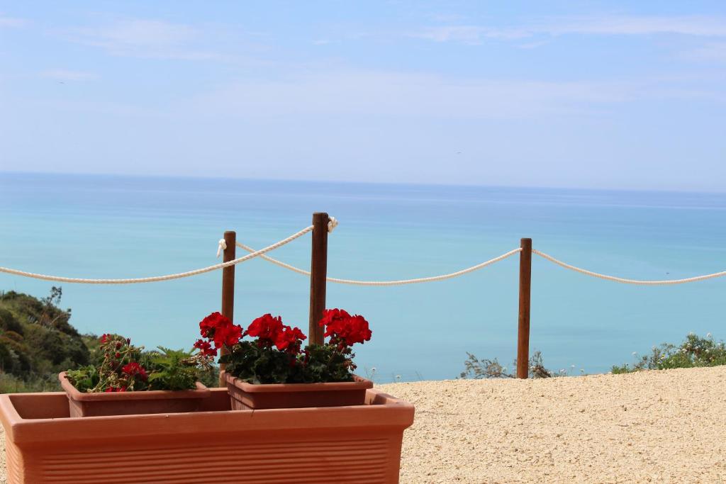 two potted plants sitting on a sandy beach at B&B La Torre in Realmonte