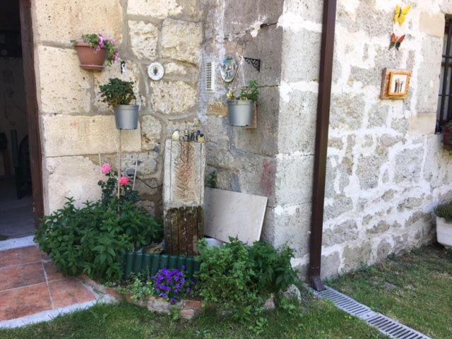 a stone wall with potted plants on the side of a building at Boomerang Cottage B&B in Quintanapalla