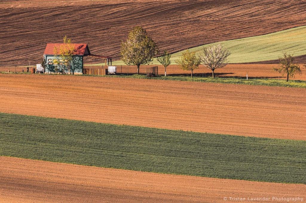 Przyroda w pobliżu tego apartamentu
