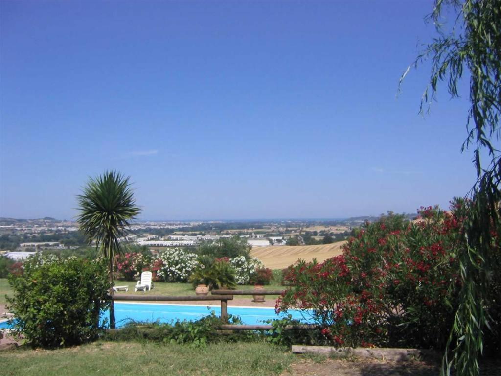 uma piscina com um banco e uma palmeira em Casa De Campo em Montegranaro