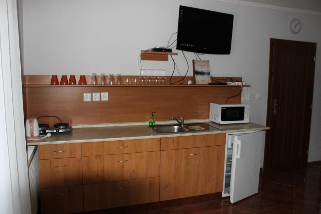 Kuchyň nebo kuchyňský kout v ubytování Privat Arcadia