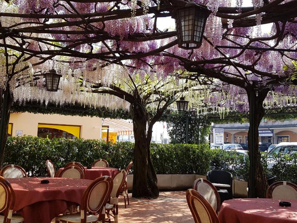 a patio with tables and chairs and purple trees at Albergo Ristorante Papa in Peschiera del Garda