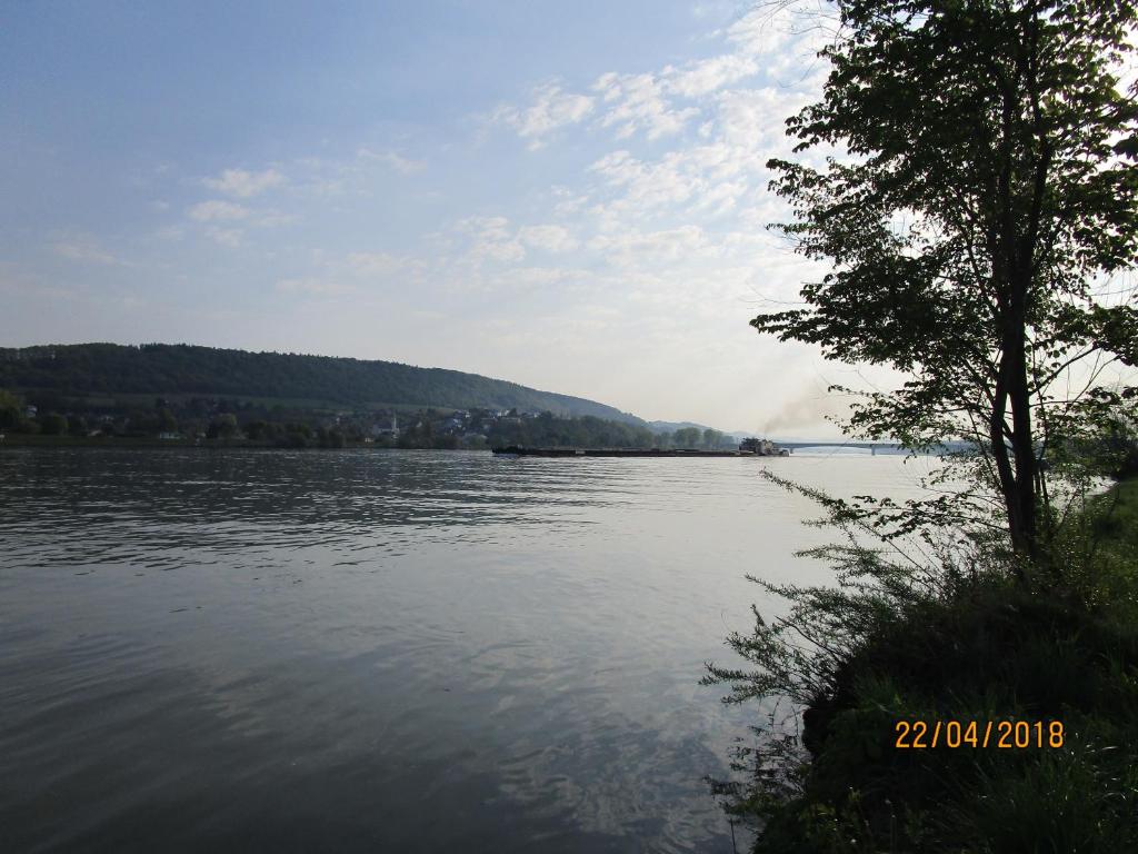Príroda v okolí penziónu