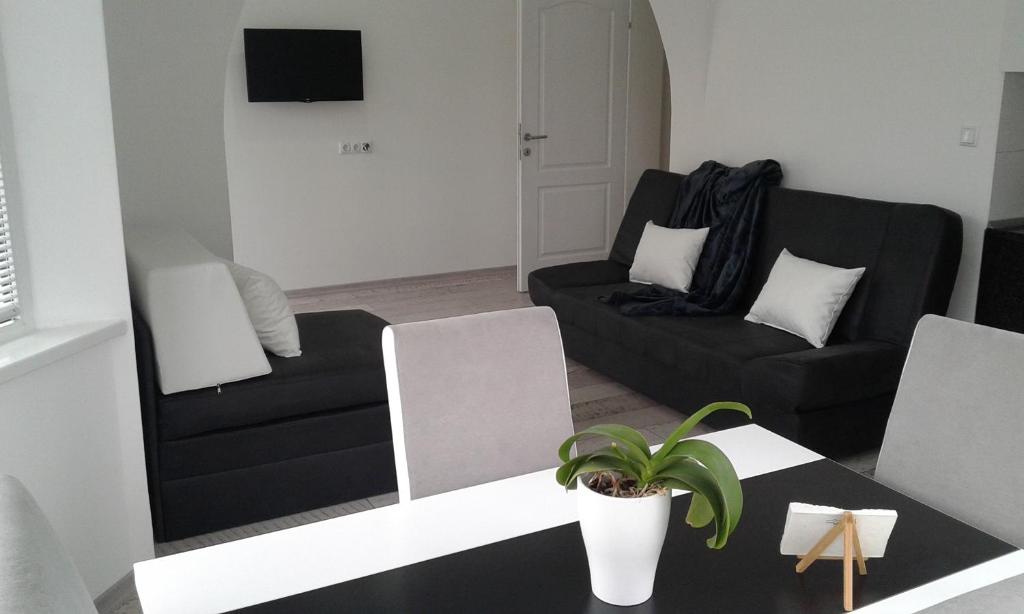Apartment VILLA MERCI - Apartment