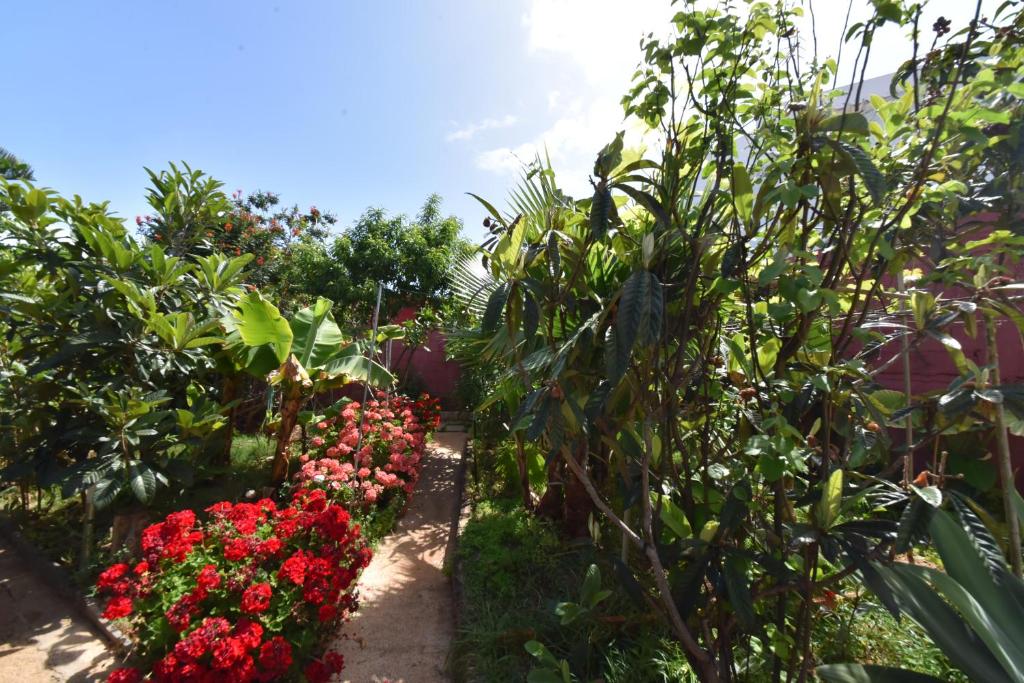 Ogród w obiekcie Casa El tonelero con jardín y piscina privada