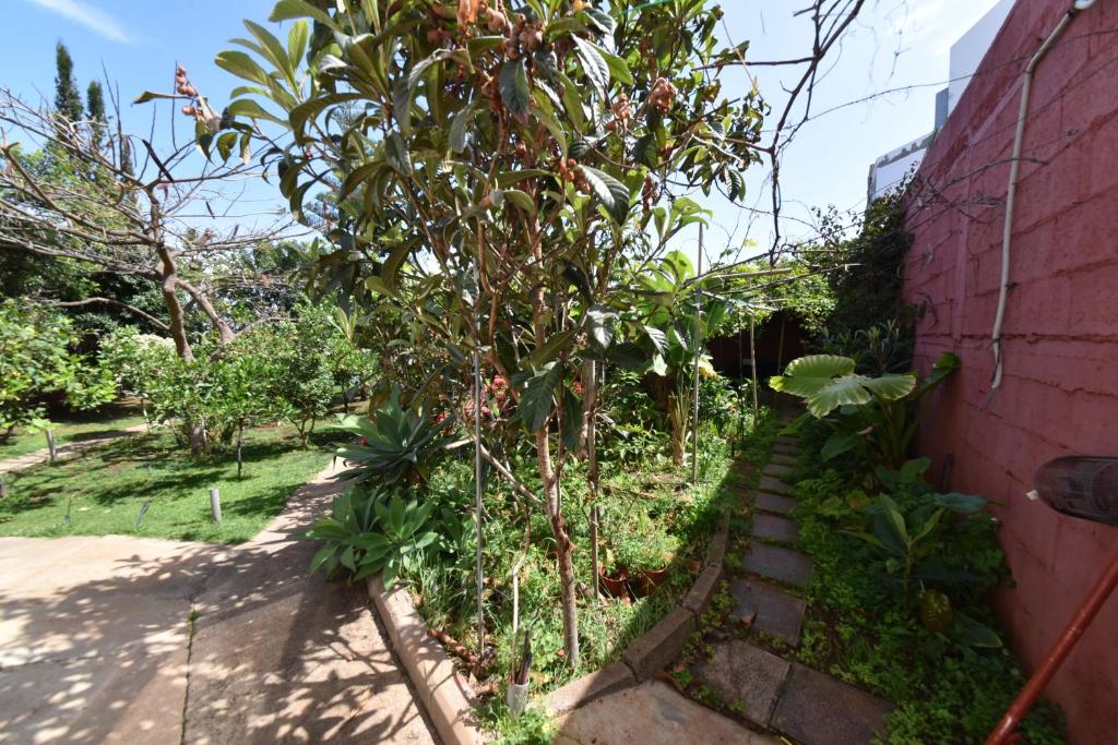 Ogród w obiekcie Casa El tonelero con jardín y piscina privada