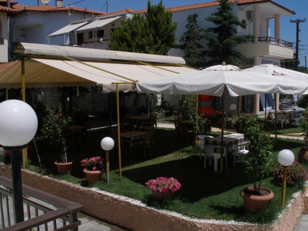 Zahrada ubytování Hotel Alexandros