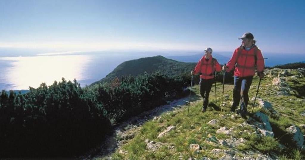 Zdjęcie z galerii obiektu Villa Pelda Apartment, sea view, parking, pet friendly w mieście Opatija