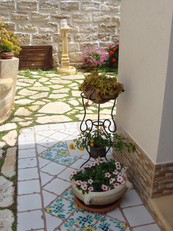 Zahrada ubytování Guest House Al Gattopardo