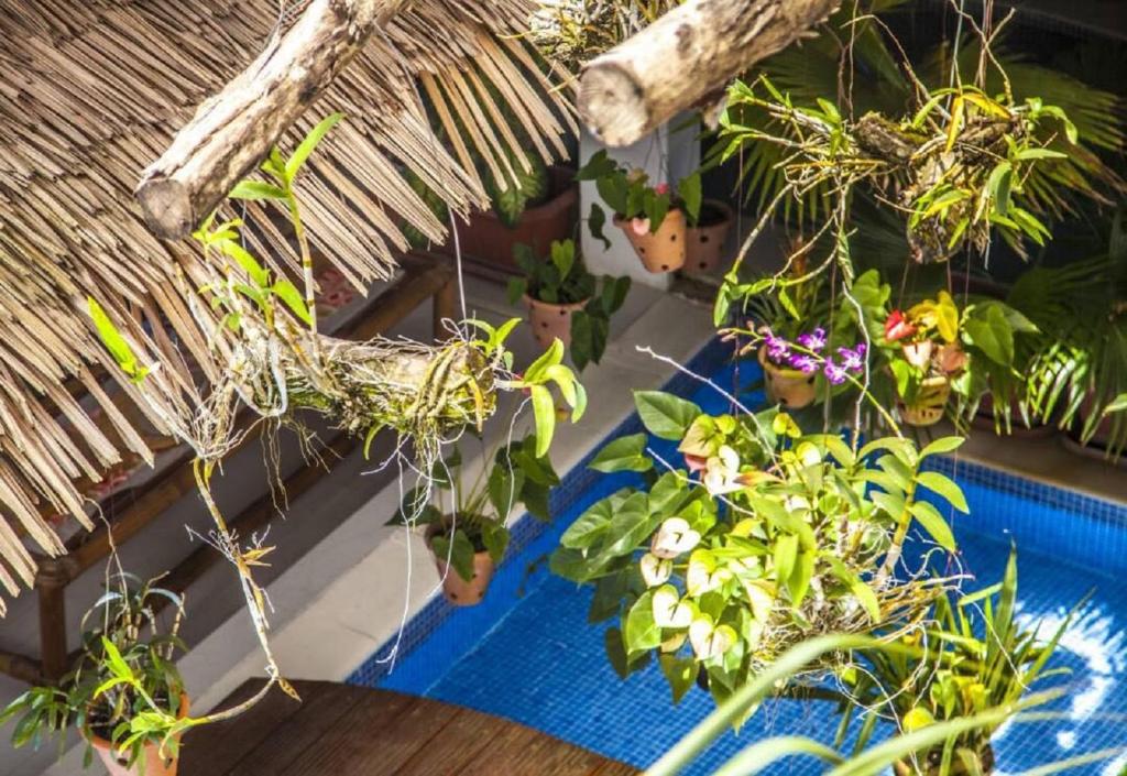 Gallery image of Ecologe in Abidjan