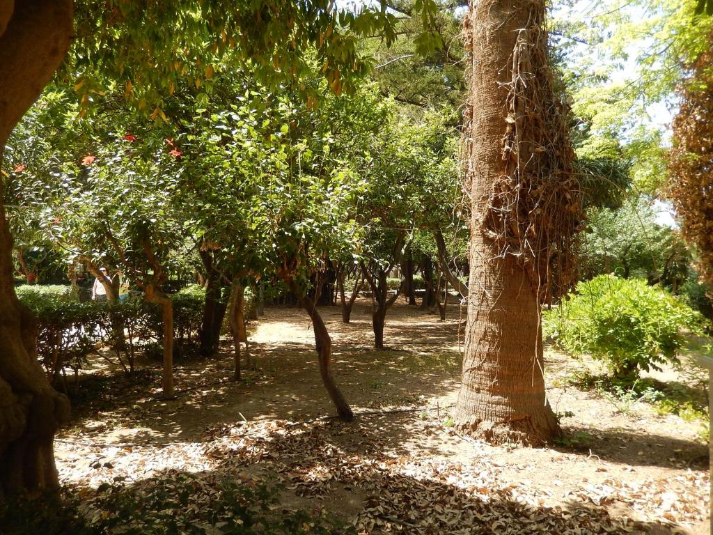 Aloe Apartments - 12