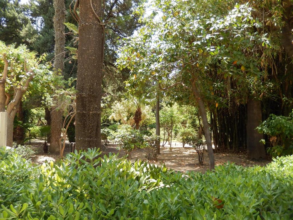 Aloe Apartments - 16