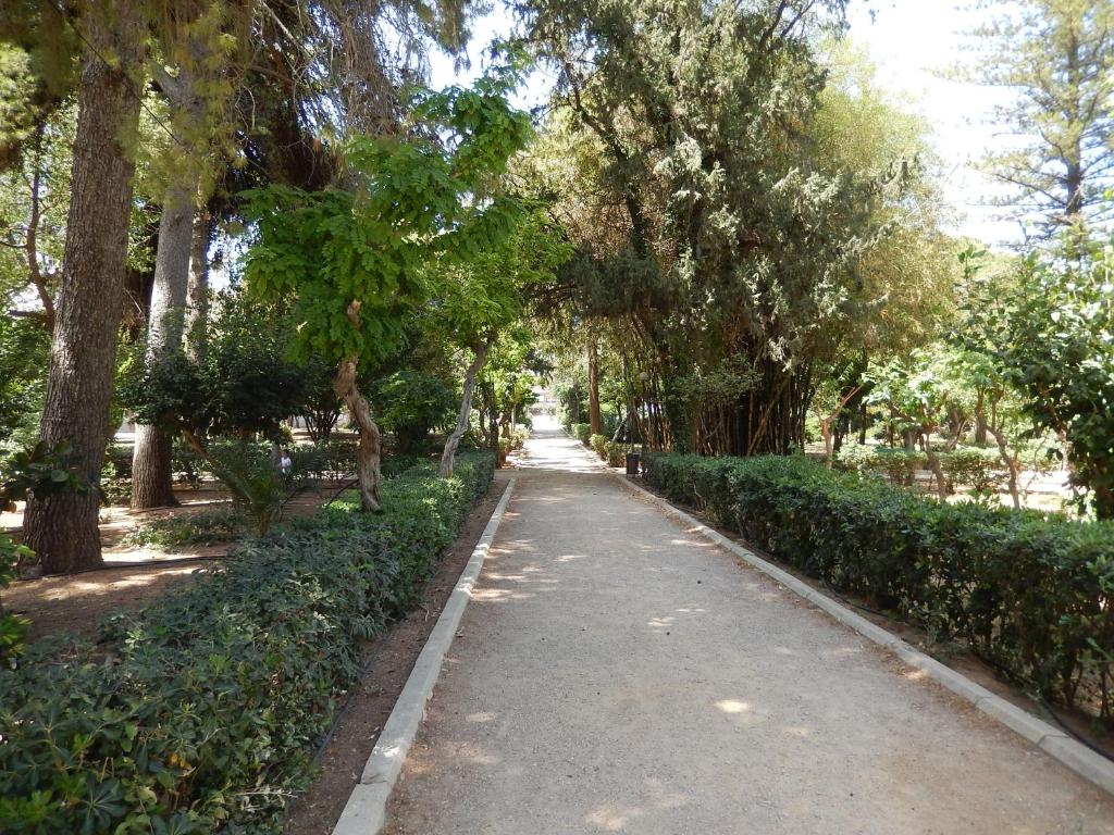 Aloe Apartments - 17