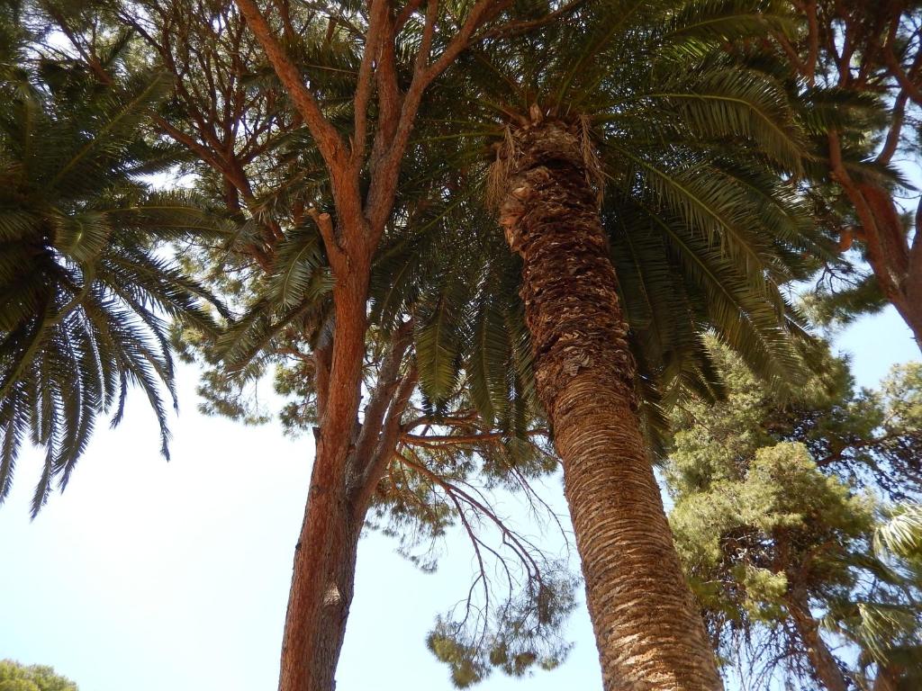 Aloe Apartments - 18