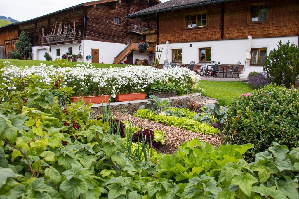 Zahrada ubytování Christernhof