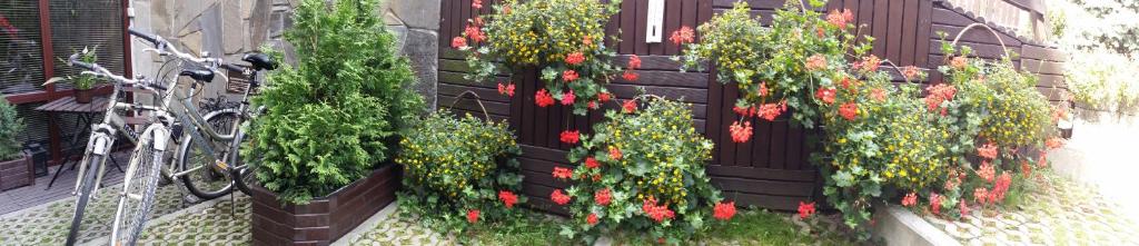 Apartamenty Centrum 2 Zakopane - 12