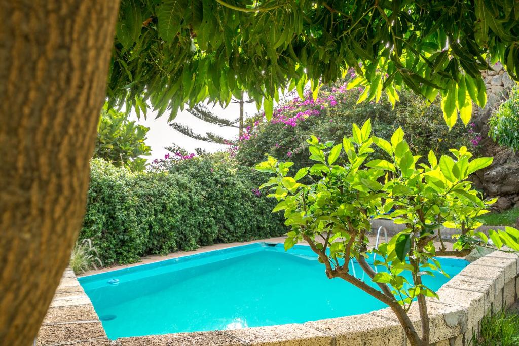 Bazén v ubytování Casitas en el Paraiso nebo v jeho okolí