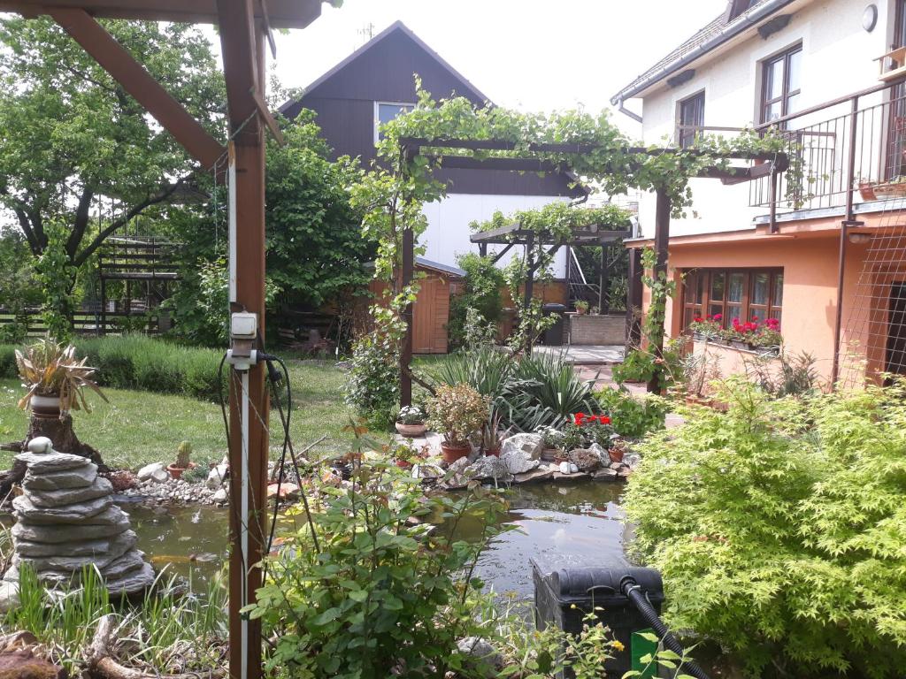 einen Garten mit einem Teich vor einem Haus in der Unterkunft Pension Zelený strom in Mikulov