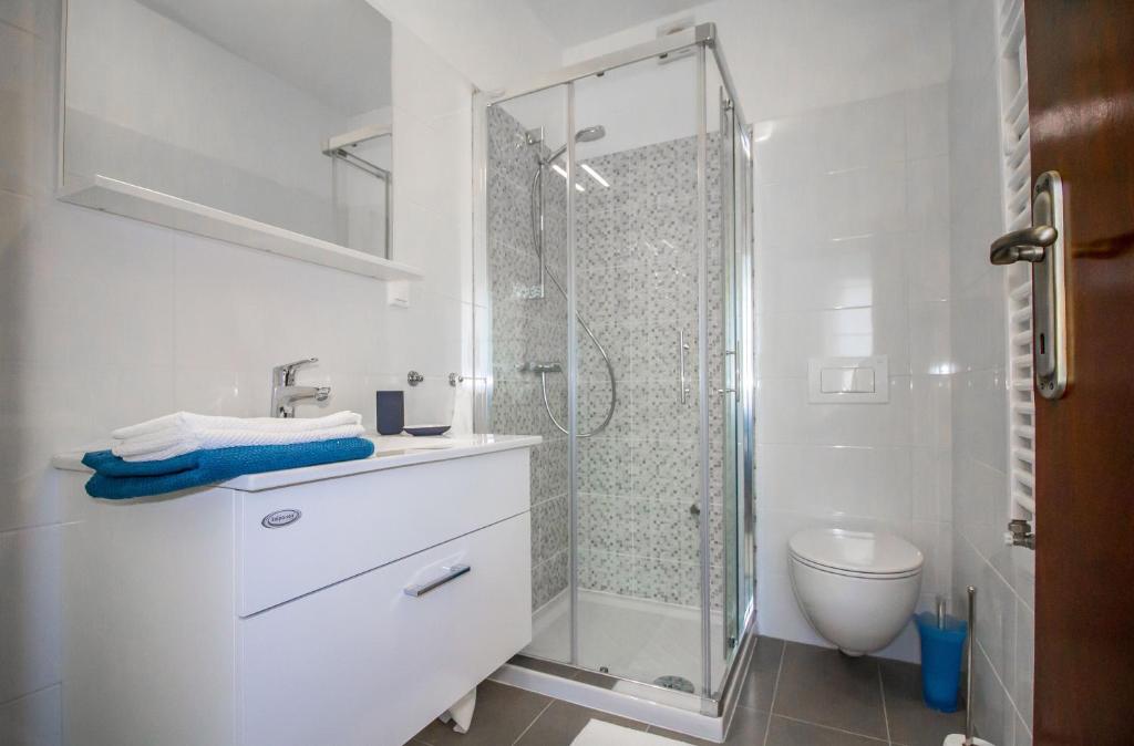 a bathroom with a shower and a sink and a toilet at Pineta House Vidos in Poreč