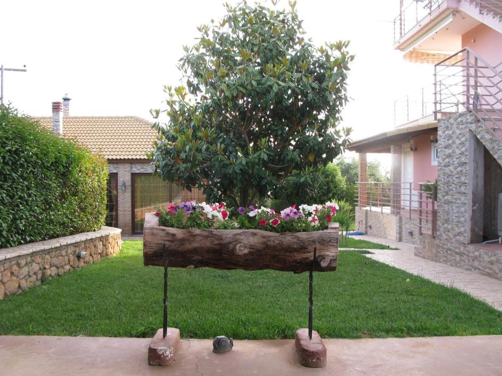 A garden outside Cozy flats in an olive grove by the sandy beach