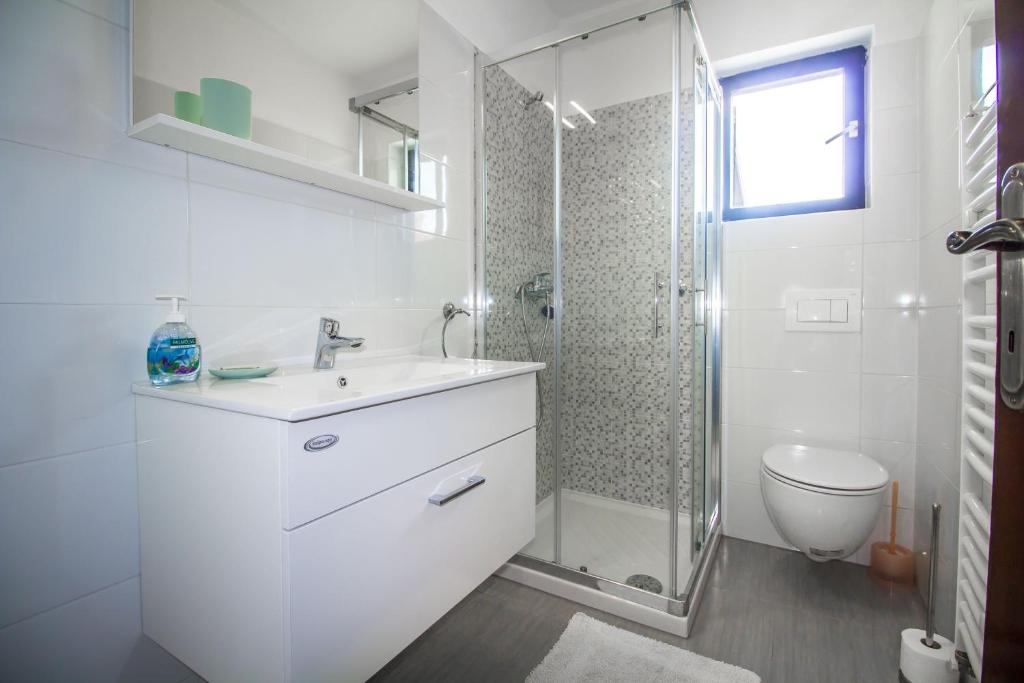 a bathroom with a toilet and a sink and a shower at Pineta House Vidos in Poreč