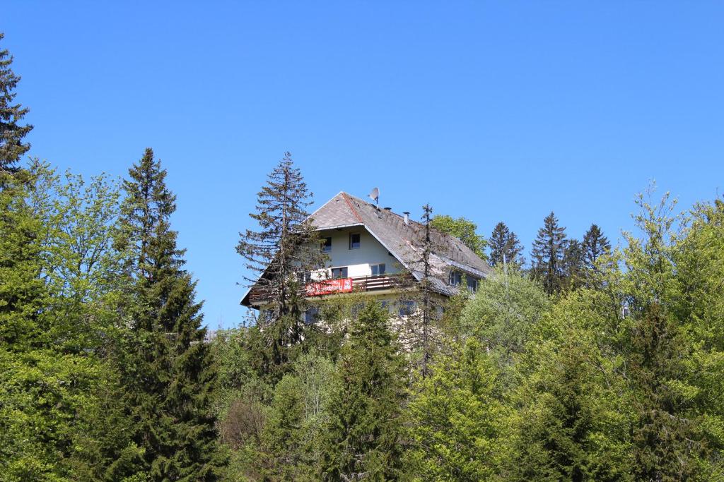 une maison sur le flanc d'une colline dans la forêt dans l'établissement Boutique Hotel Kokoschinski, à Feldberg