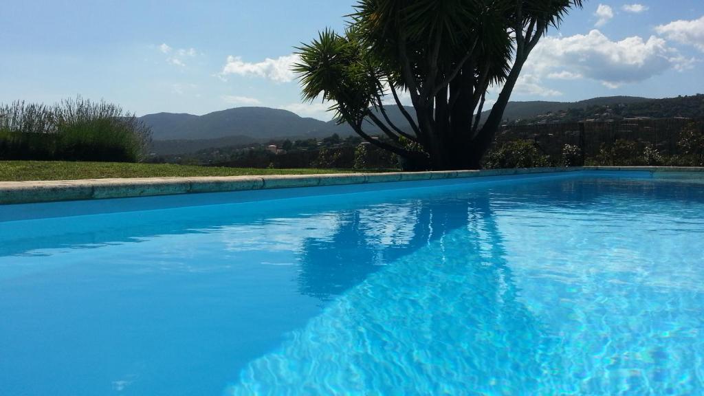 une piscine bleue avec un palmier et des montagnes dans l'établissement La Tabarine, à La Croix-Valmer