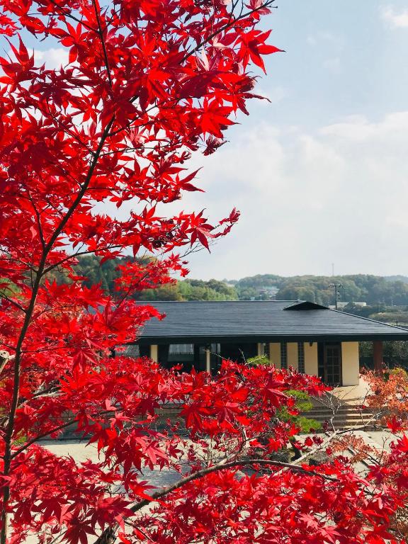 Fotografie z fotogalerie ubytování NARA japanese garden villa v destinaci Nara