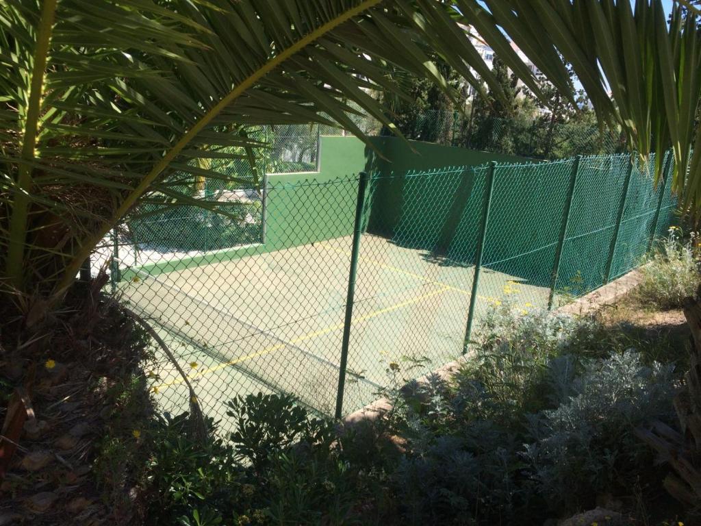 Tenis lub squash w obiekcie Apartamento Elia Villa África lub w pobliżu