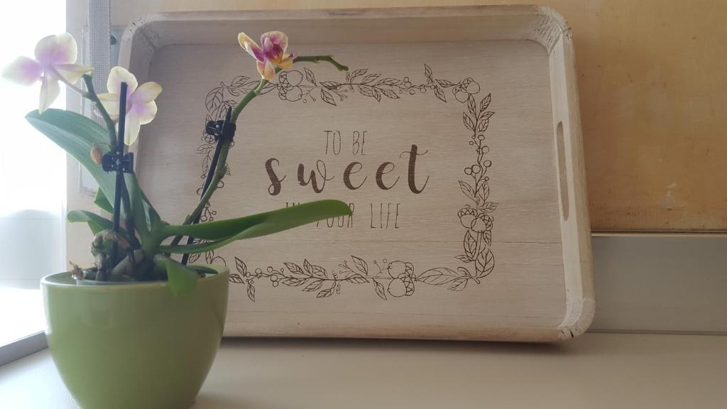Eine Pflanze in einer Vase neben einem Zeichen, das heißt süß in der Unterkunft Casa Di Marta in Diano Marina