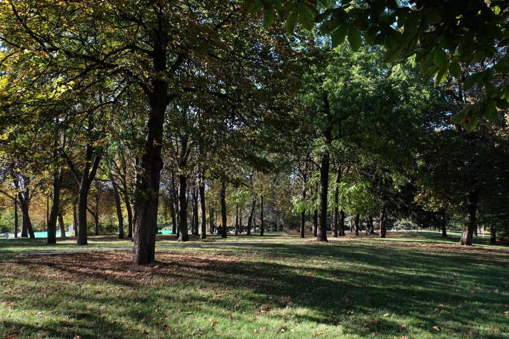 ibis Daumesnil Porte Doree - Resim 37