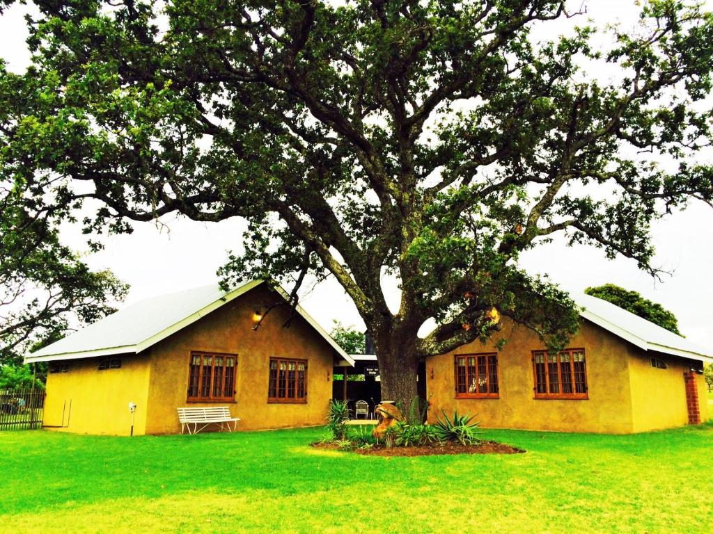 a yellow house with a tree in front of it at Elandsheim Guest Farm in Rorkeʼs Drift