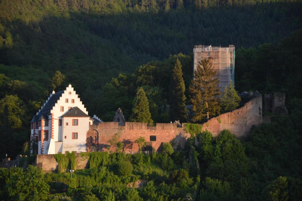 a castle on a hill with a building on it at Panorama-Blick Miltenberg, 3 Pers., zentr., am Main, Terrasse, Bootverleih, P in Miltenberg