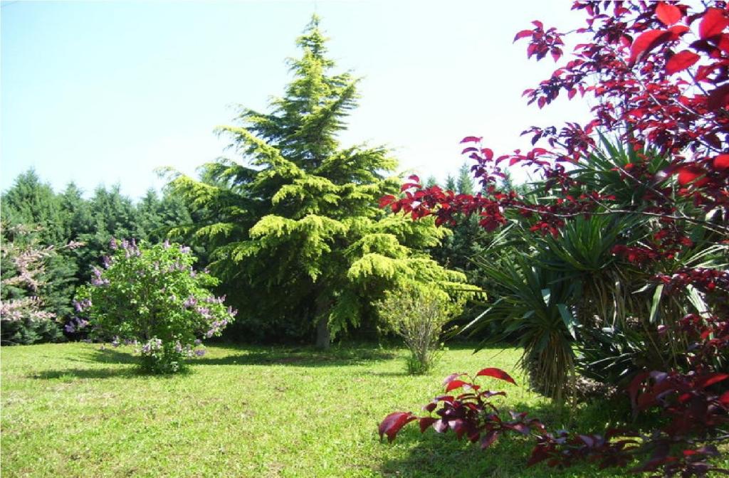 Zahrada ubytování B&B Villa Lena