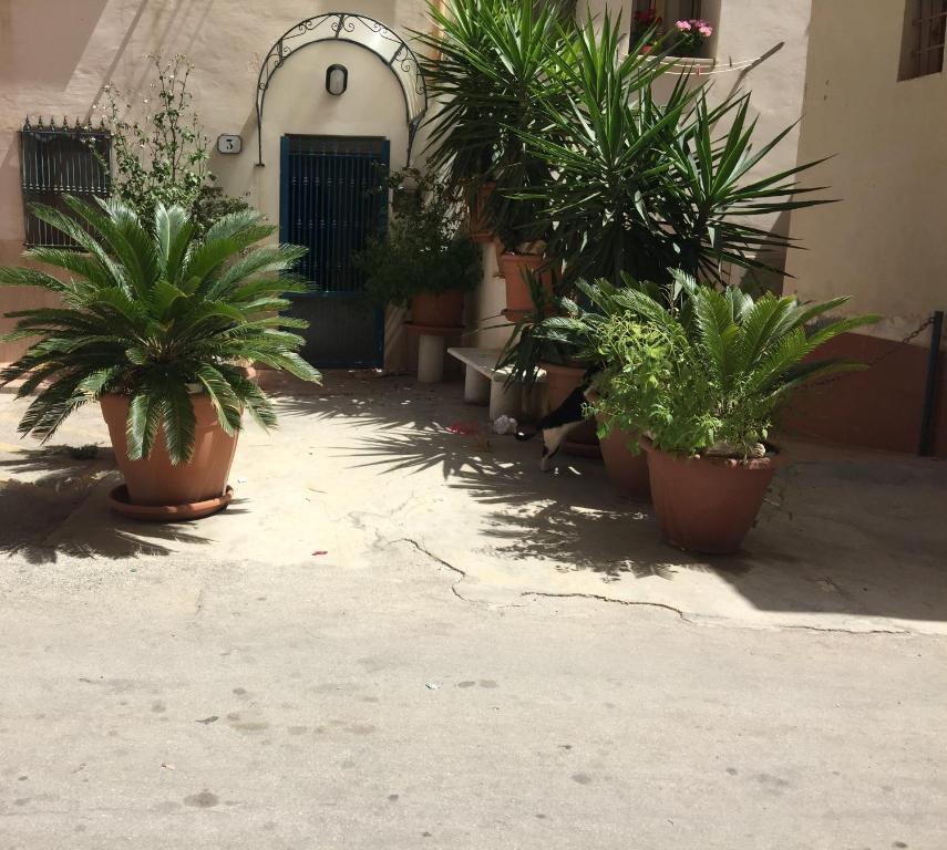 a row of potted plants in front of a building at Appartamenti Tre Vele in Trapani