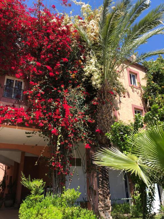 Zahrada ubytování Riad Côté palmeraie