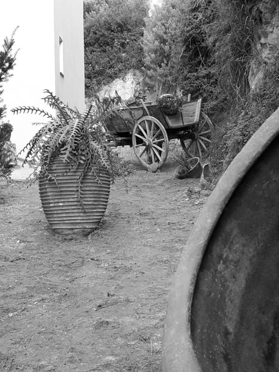 Fotografia z galérie ubytovania Kalyves Bay v destinácii Kalyves