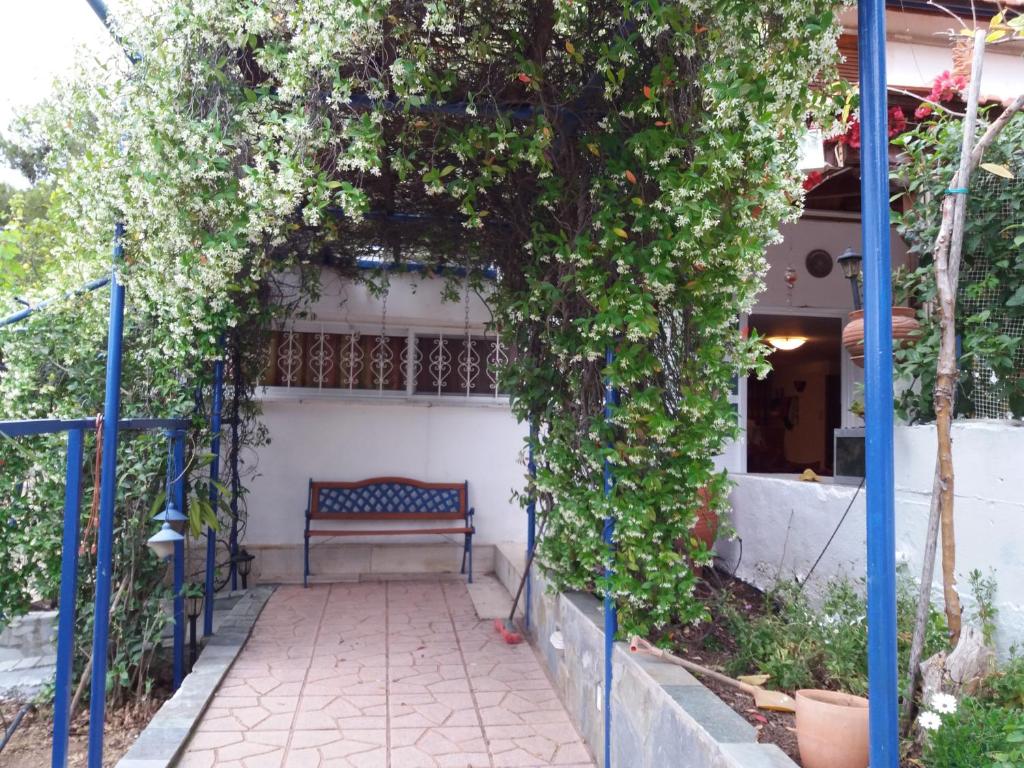 Zahrada ubytování Aliki House