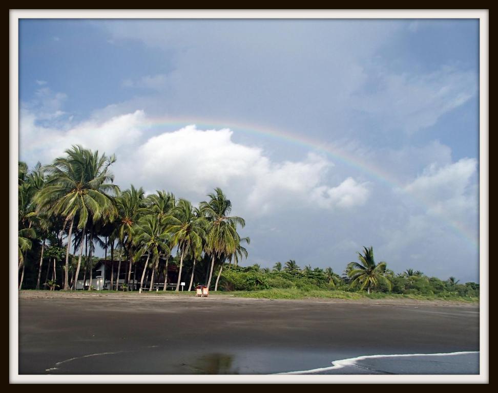 un arco iris en el cielo sobre una playa con palmeras en Plumita Pacifica en Playa Junquillal