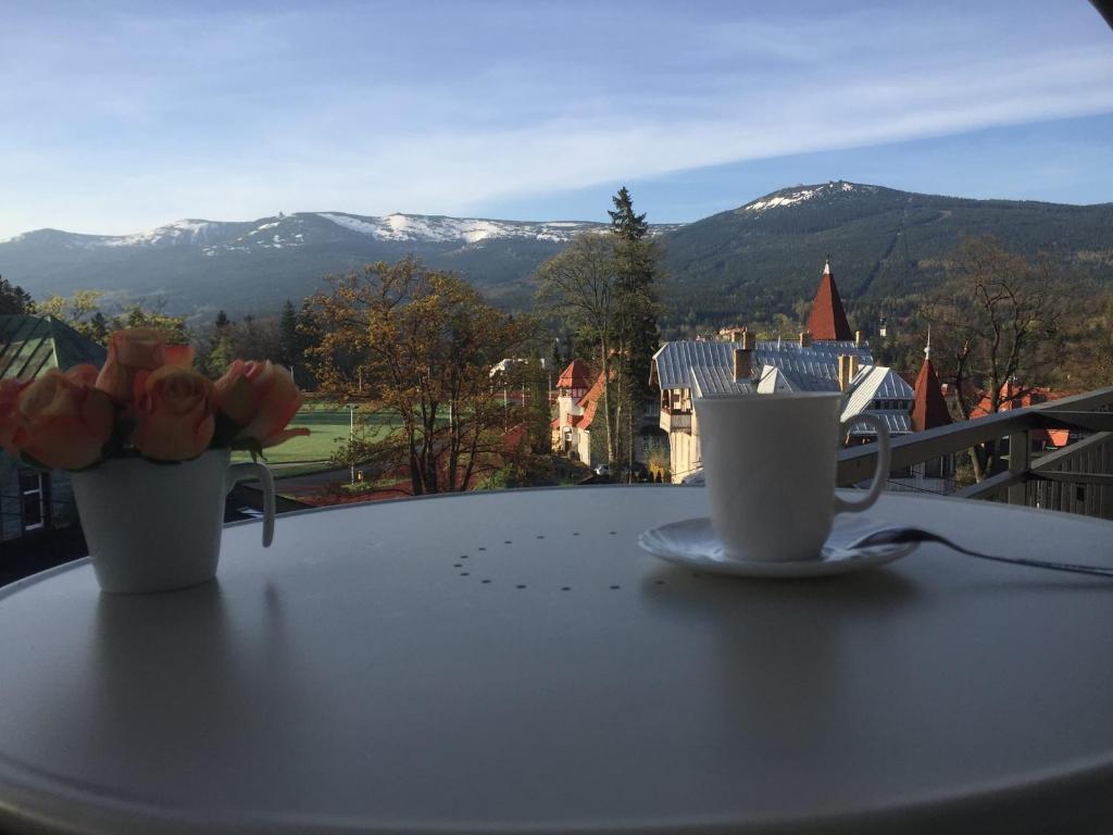 シュクラルスカ・ポレンバにあるjakiwidokの- テーブルと花の上に座るコーヒー2杯