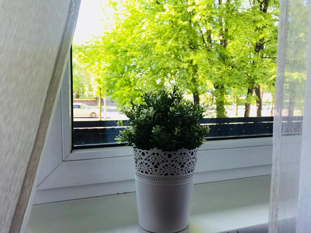 Zahrada ubytování Savan House "Easy Kaunas"