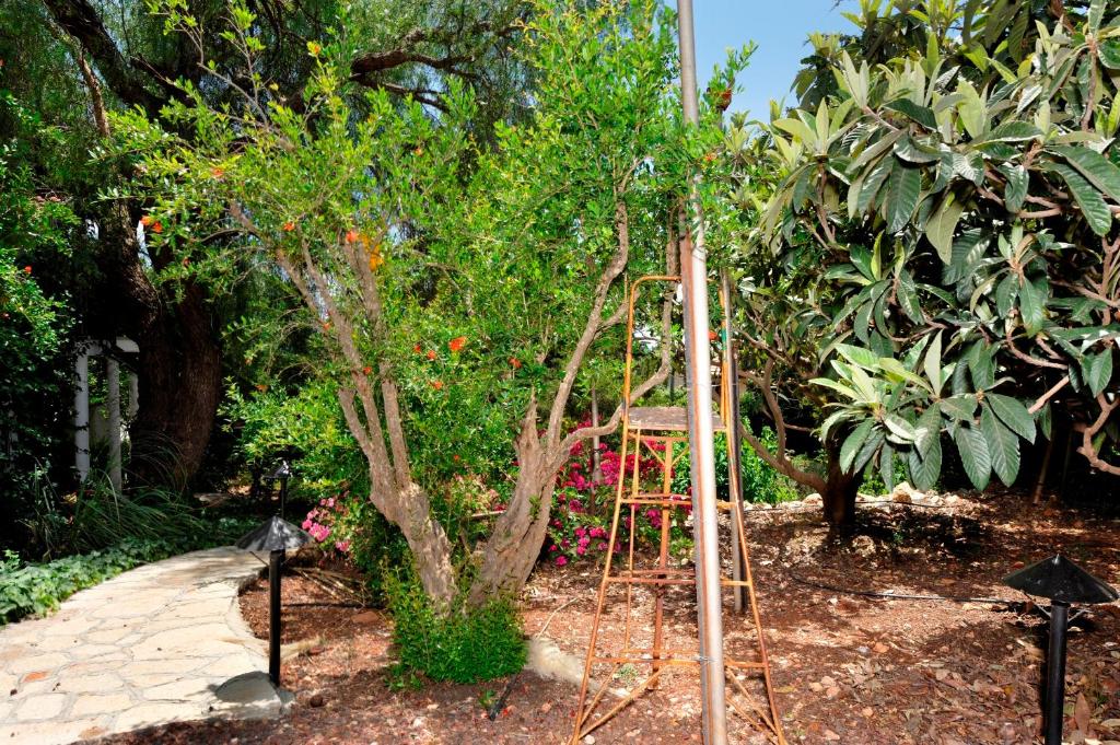a garden with a tree with a swing at Eretz Hagalil - Land of Galilee in Amirim