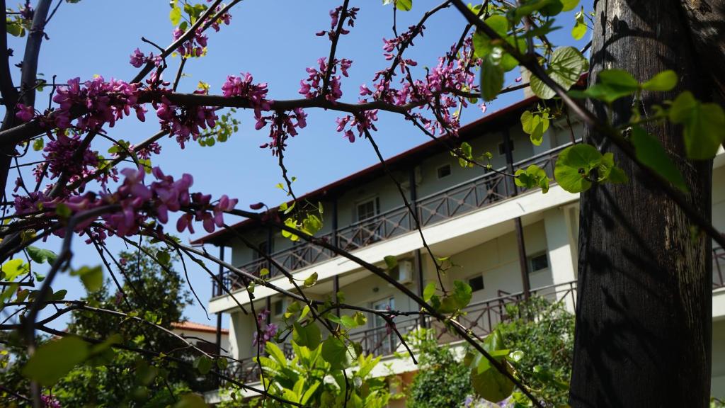 Zahrada ubytování Hotel Morfeas
