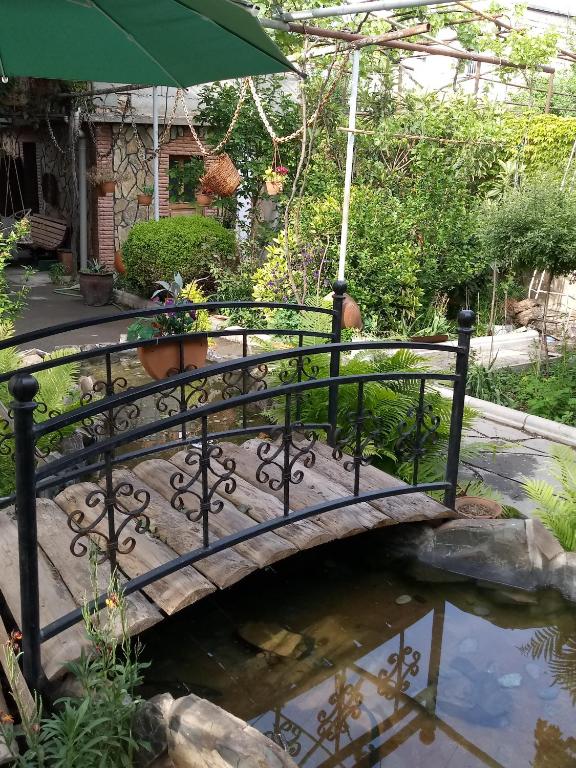 Zahrada ubytování Tamar Guest House