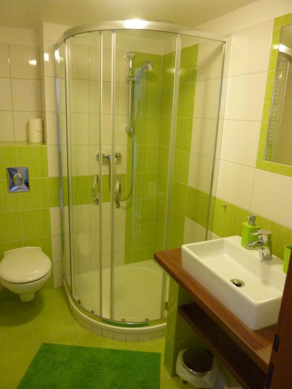un bagno con doccia, WC e lavandino di PENZION U ŠTEFANA a Ostružná