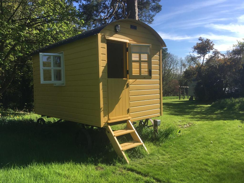 a yellow tiny house with a ladder in the grass at Blackstairs Shepherds Huts in Killedmond