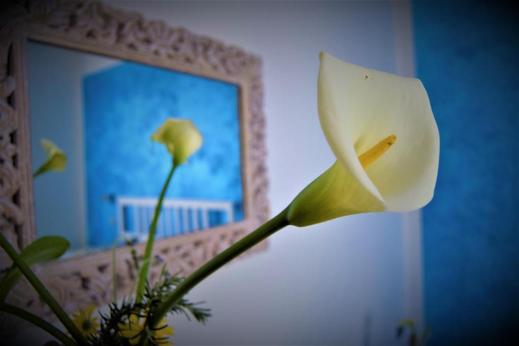 Fotografie z fotogalerie ubytování Levante Blu v destinaci La Spezia